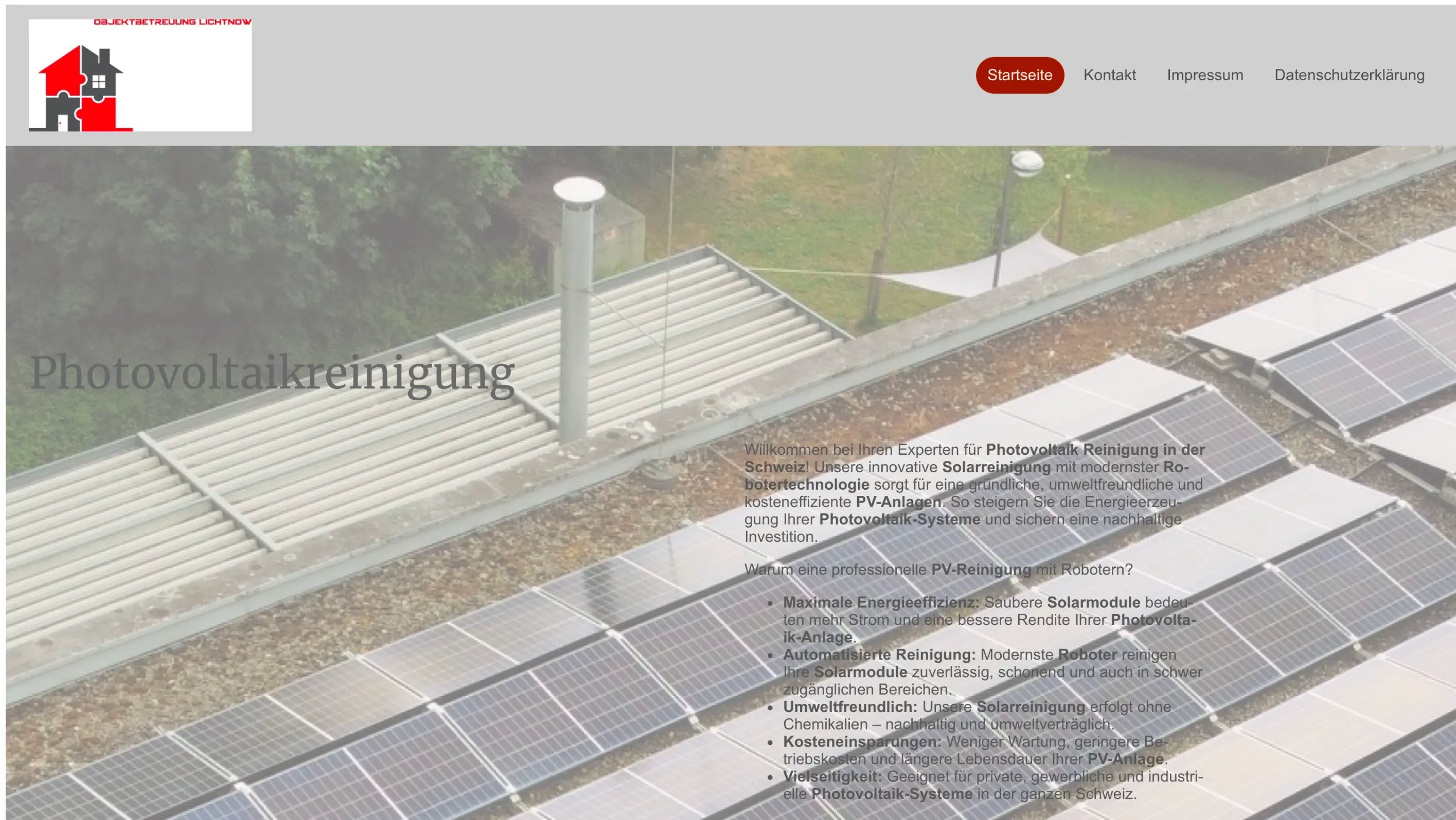 Lichtnow Website Vorher
