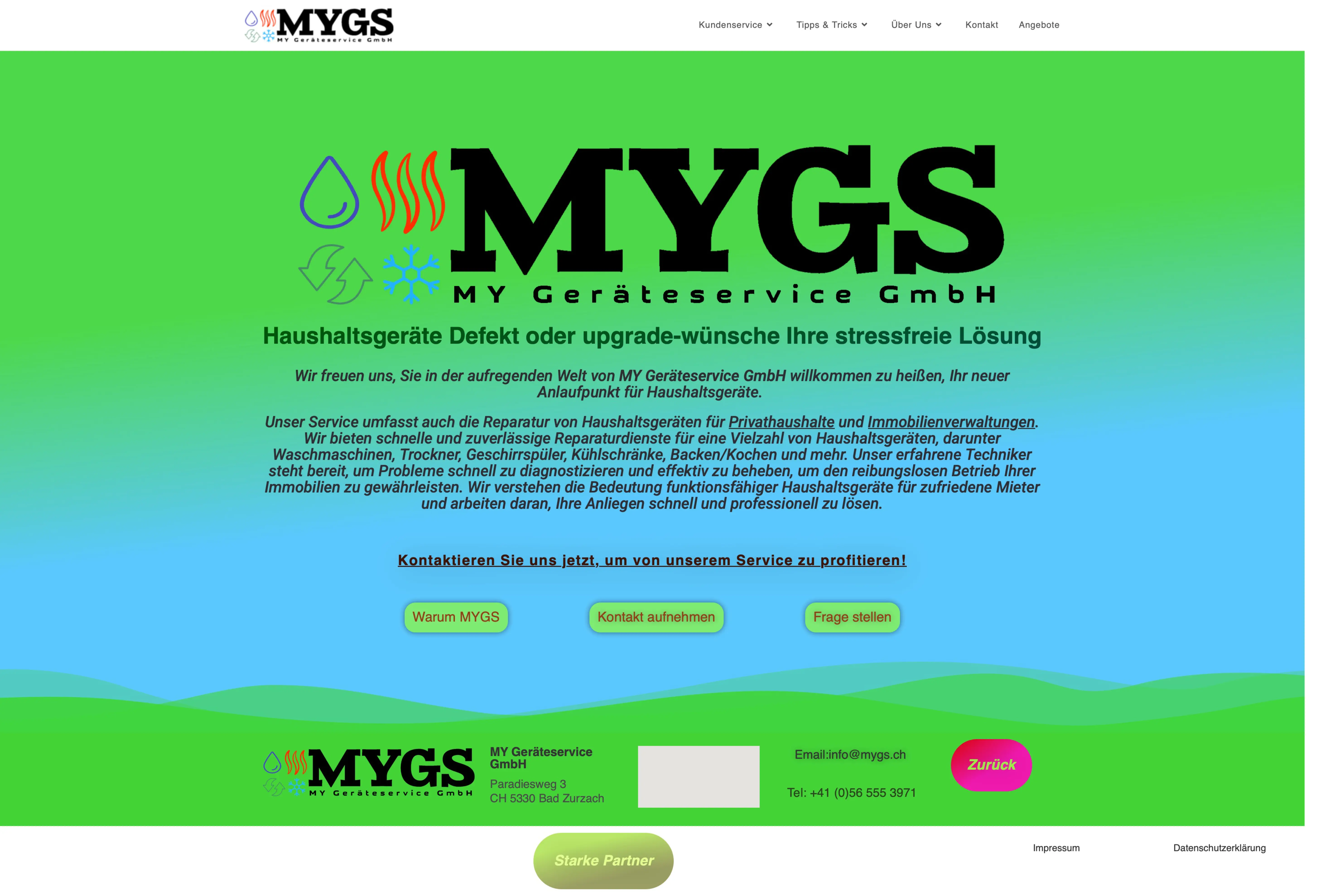 MYGS Website Vorher
